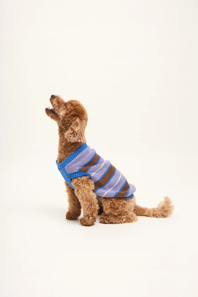 [pl][Ginny nosi rozmiar S] [en][Ginny wears size S] [de][Ginny trägt Größe S]  sweter dla psa bawełna organiczna organic cotton dog sweater hundepullover aus bio baumwolle