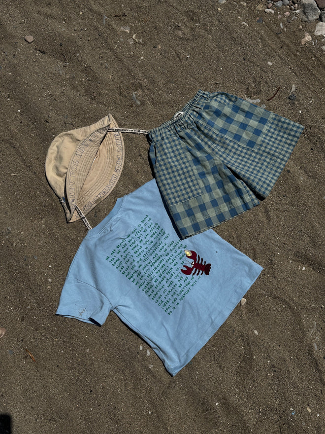Shorts - Aqua Vichy