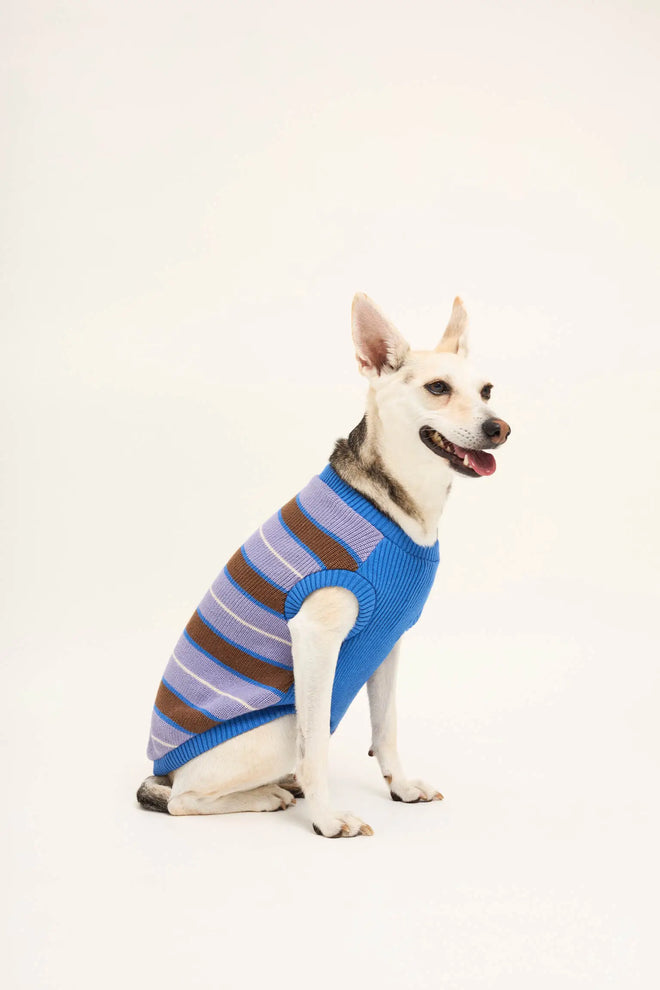 [pl][Megi nosi rozmiar L] [en][Megi wears size L] [de][Megi trägt Größe L] sweter dla psa bawełna organiczna organic cotton dog sweater hundepullover aus bio baumwolle