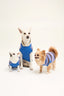 sweter dla psa bawełna organiczna organic cotton dog sweater hundepullover aus bio baumwolle