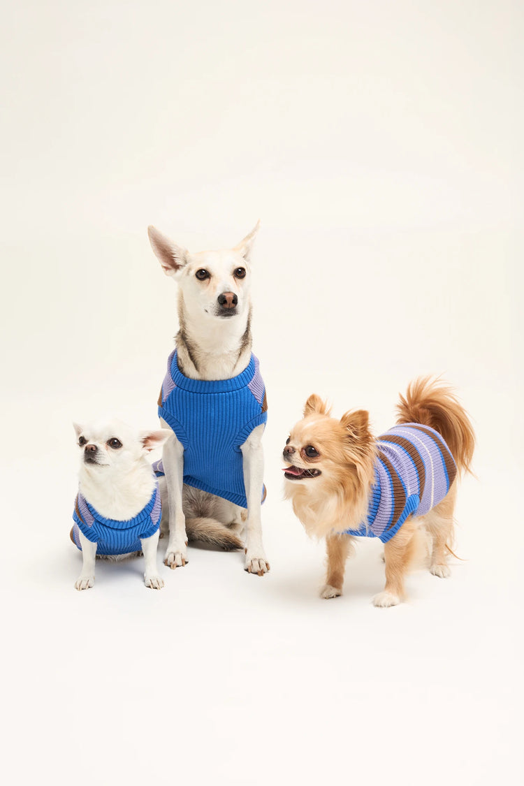 sweter dla psa bawełna organiczna organic cotton dog sweater hundepullover aus bio baumwolle