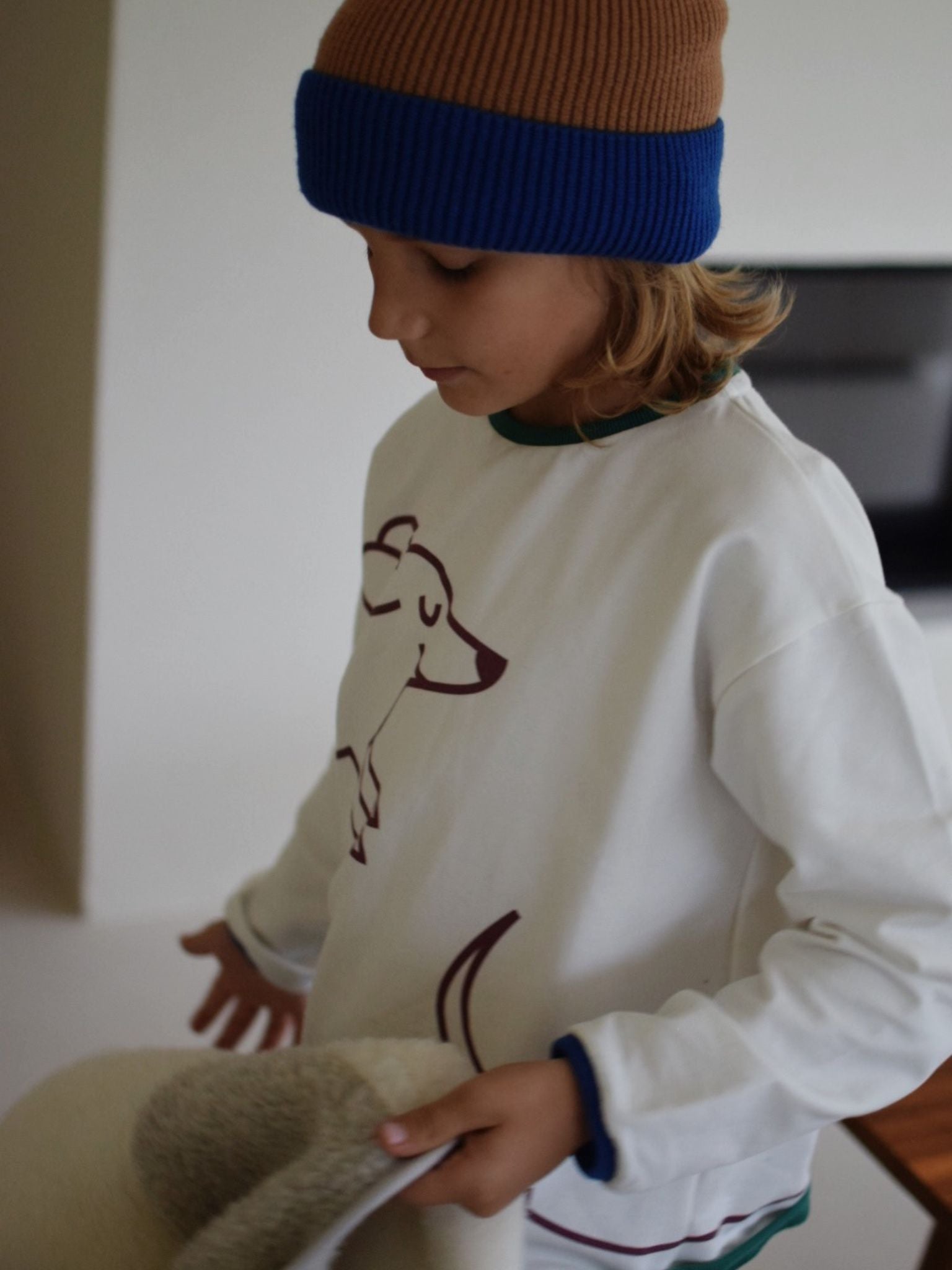 koszulka longsleeve - dachshund