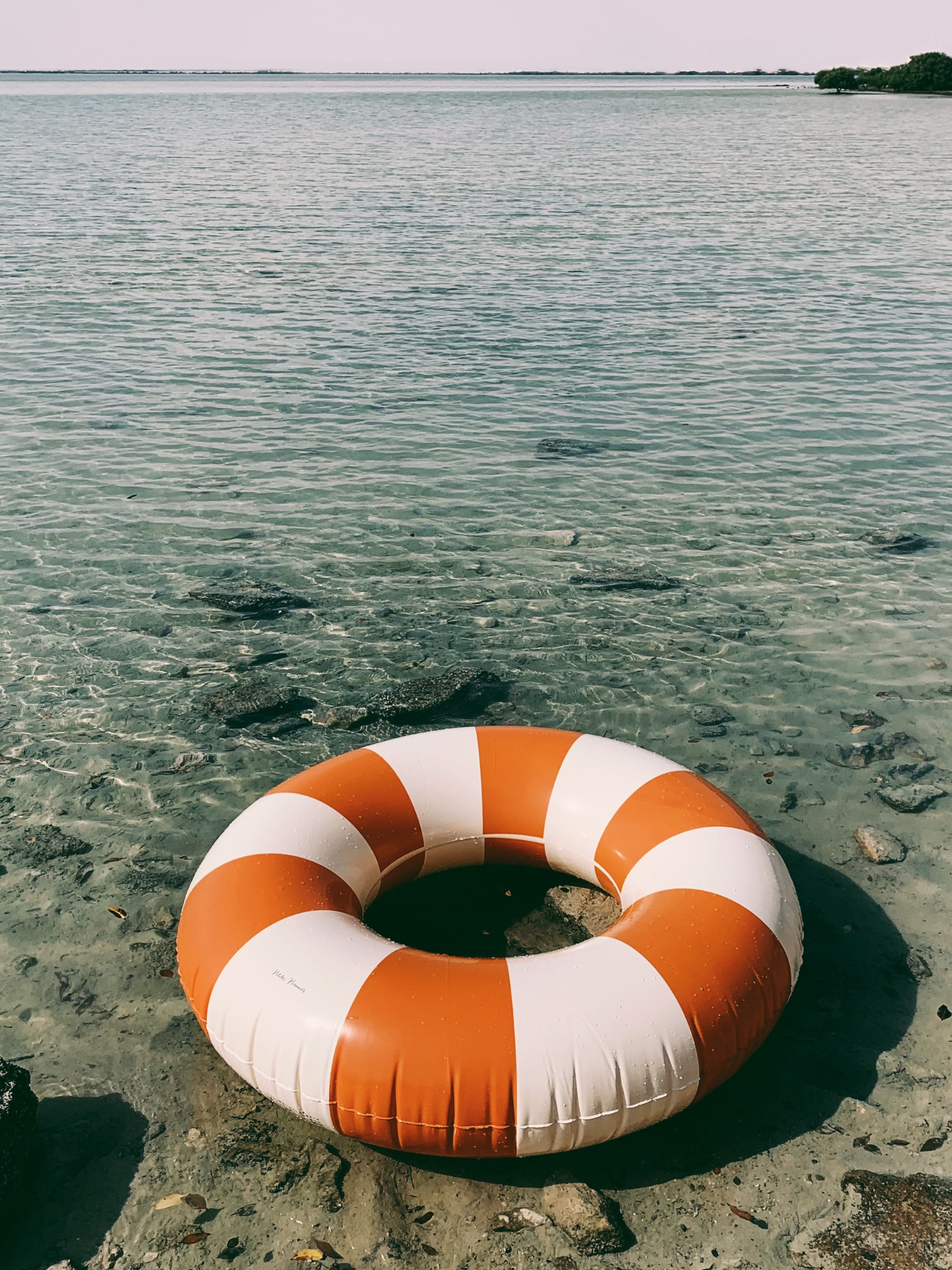 kółko do pływania wodne basen swim ring pomarańczowe tangerine woda plaża