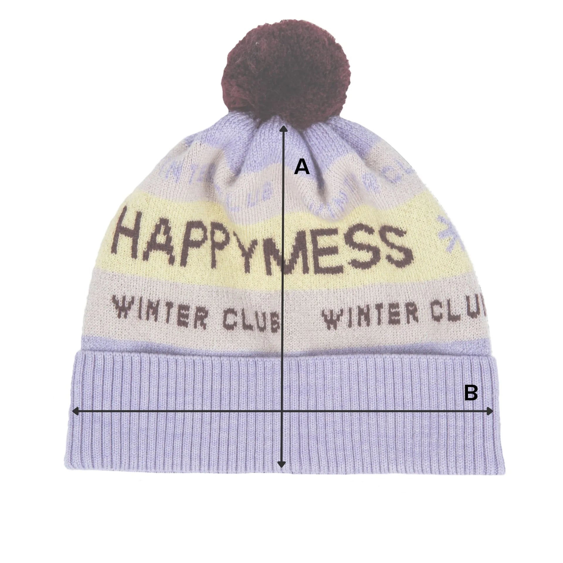 beanie winter club